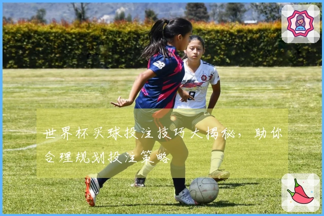 世界杯买球投注技巧大揭秘，助你合理规划投注策略