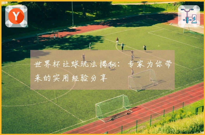 世界杯让球玩法揭秘：专家为你带来的实用经验分享