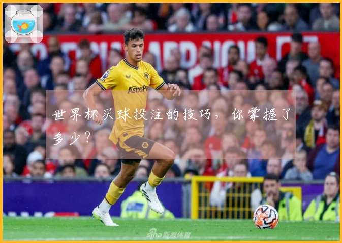 世界杯买球投注的技巧，你掌握了多少？