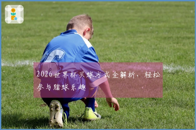 2026世界杯买球方式全解析，轻松参与赌球乐趣