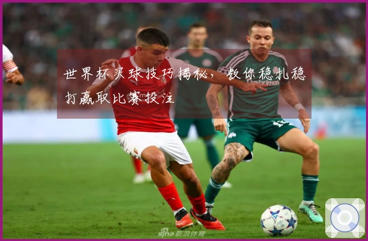 世界杯买球技巧揭秘，教你稳扎稳打赢取比赛投注