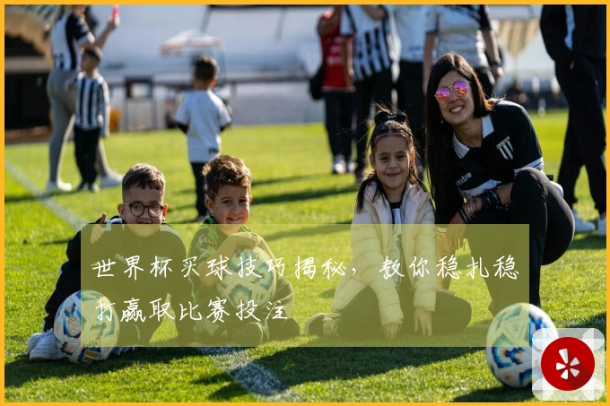 世界杯买球技巧揭秘，教你稳扎稳打赢取比赛投注